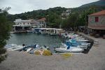 Harbor Sikaminias